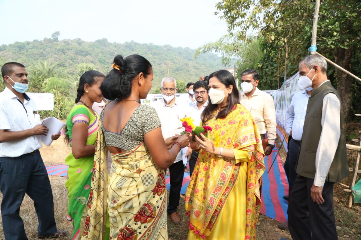 AdaniPriti's tweet photo. Integrated development comes with high efforts but also brings higher rewards. 1,100 tribal families near Dahanu, Maharashtra have doubled their income by cultivating 500+ acres of barren land. Delighted to see @AdaniFoundation's Wadi Program facilitating stability &amp; good health. https://t.co/VGKmSPV7lE