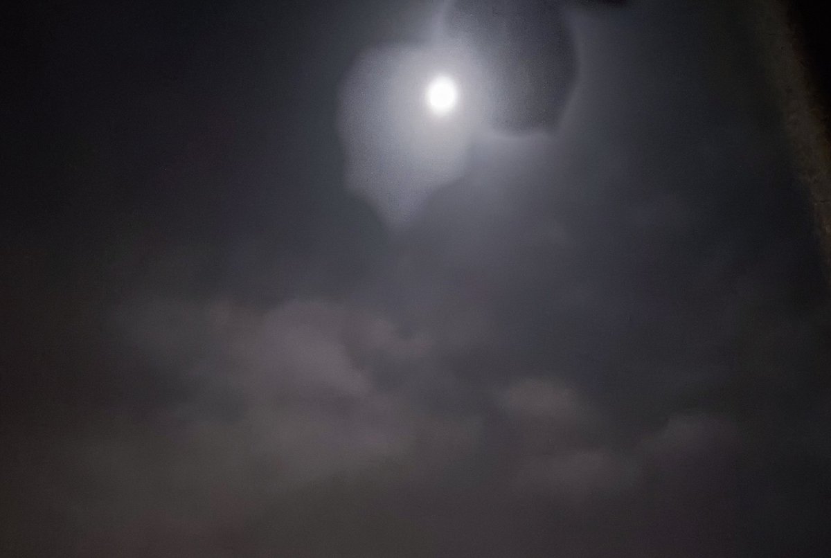 AngieDarshanie's tweet photo. 2am photo dump of bad moon pictures 😔 https://t.co/lB4AtbTzDF