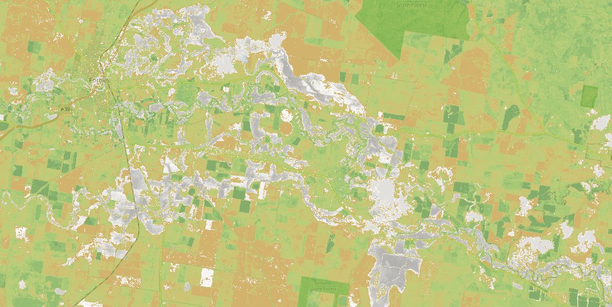 AllThingSpatial's tweet image. Forbes, NSW 🇦🇺 flood extents derived from 2021.11.18 Sentinel2 #satellite image (red overlay are perennial rivers, streams &amp;amp; water bodies) 
#NSWFloods #EarthObservation