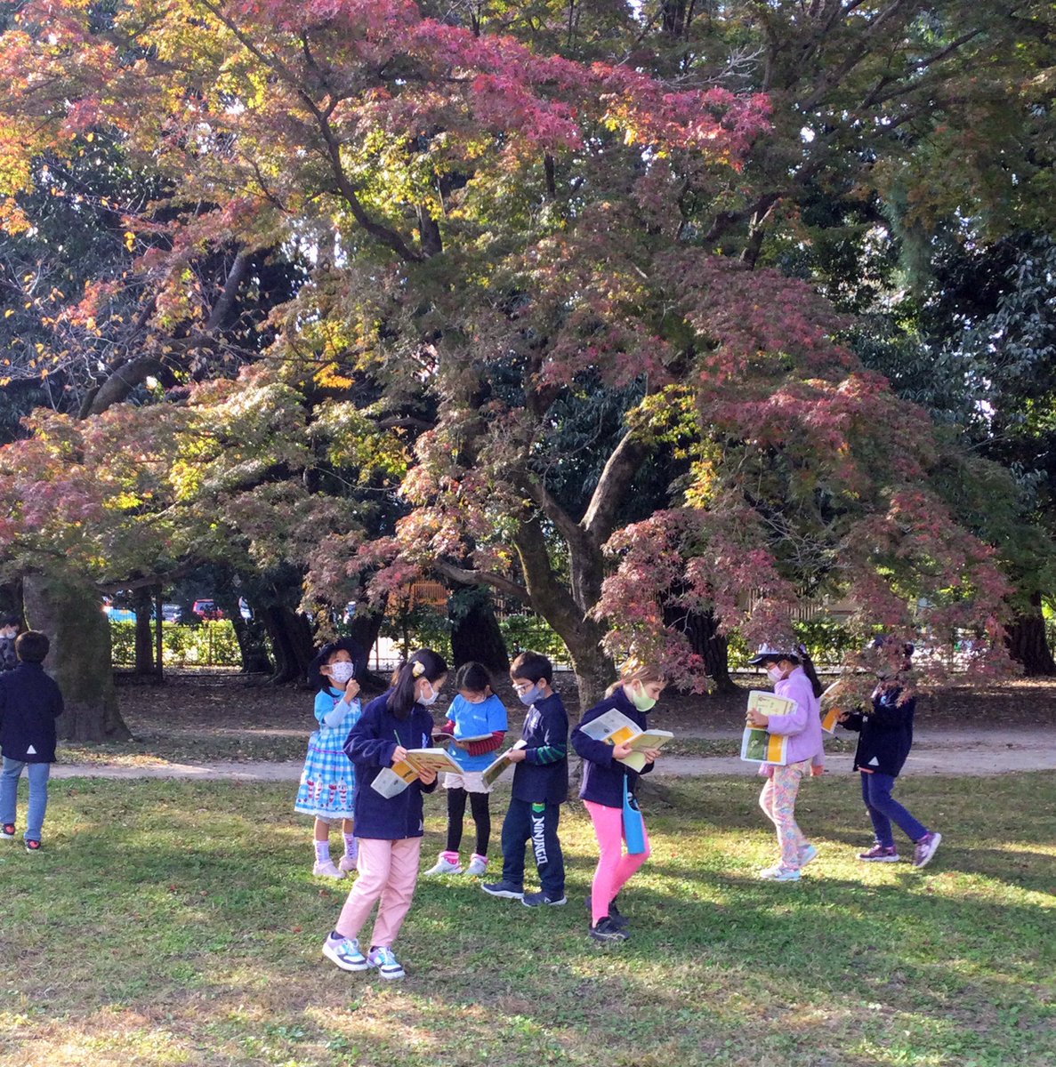KellieOxlade's tweet image. Being able to get off campus again 👏  #nature so good for the soul. The ultimate teacher #studentphotographers  #learningatkis #kyotoinautumn @KyotoIntlSchool