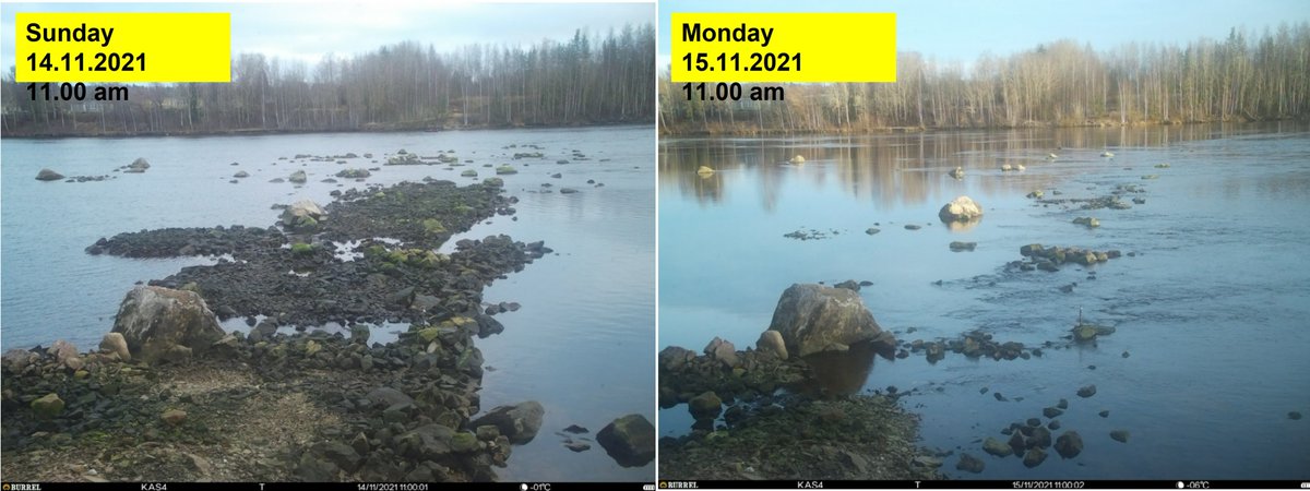 RiverGo3's tweet photo. RiverGo increases environmental awareness. Already the second camera was installed to document the variation of River Vuoksi #Imatra water level. The photos show the negative effects of short term flow regulation in trout spawning grounds. @fortum @sefinruscbc @enicbc https://t.co/PFZiPb56Zo