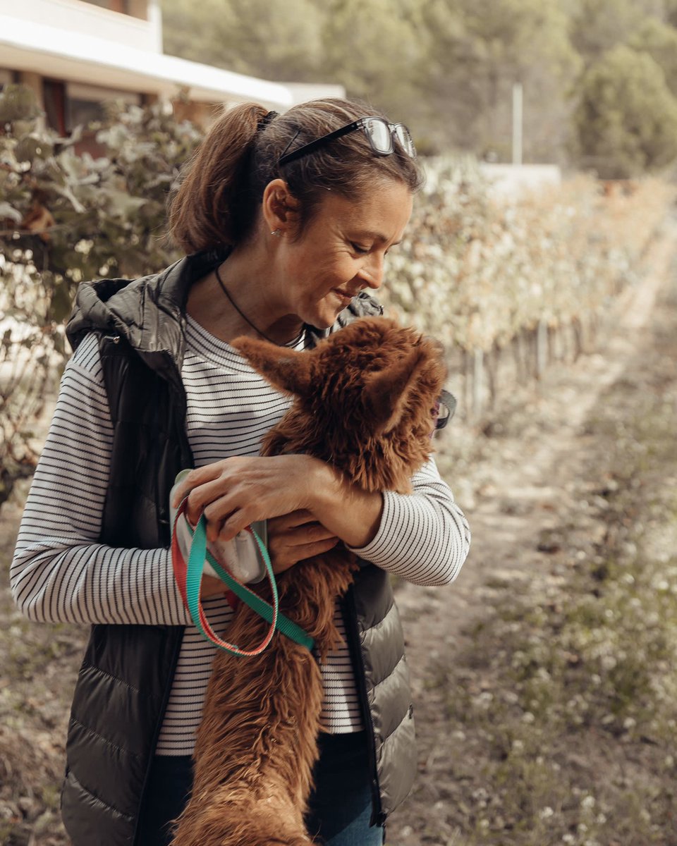 cellercanmarles's tweet photo. Ibar y yo. Despues de su operación de los ojos vuelve a ver… mi pareja infinita❤️#alpacas #penedesexperience @AMP @jacobpetrus_tve https://t.co/Cwa81MnVAr