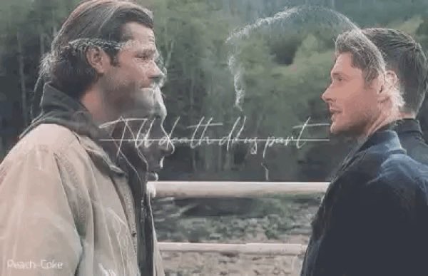 JoJoMarshmello_'s tweet photo. A year today, we felt an unbearable grief as we said goodbye to first Dean and then the show after a 15 year gift was given to us all. But the #SPNFamily isn’t gone. SPN will #CarryOn in our hearts, our love shared. We are forever grateful 💜 #SupernaturalNeverDies #BarnScene https://t.co/eWtosV9A2m