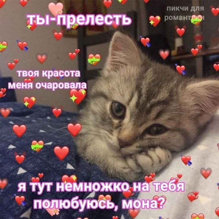 сделайте маленький перерыв на обед и таблетки. 
помните, я вас очень и очень сильно люблю 😌💗