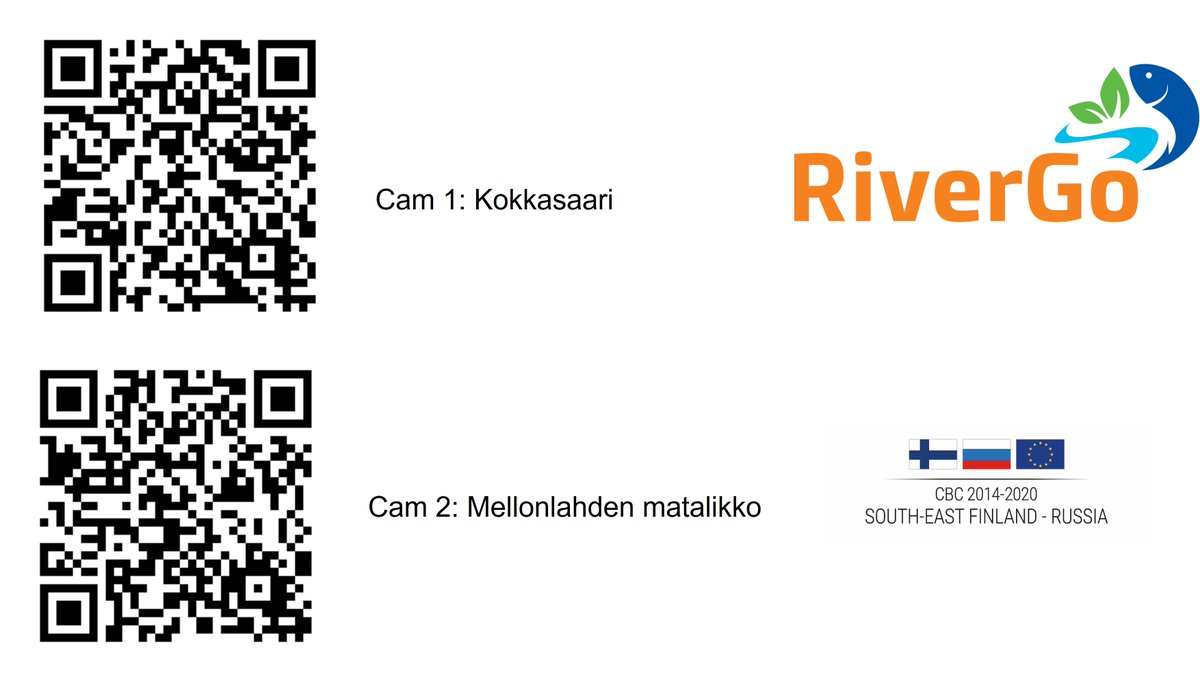 RiverGo3's tweet photo. RiverGo increases environmental awareness. Already the second camera was installed to document the variation of River Vuoksi #Imatra water level. The photos show the negative effects of short term flow regulation in trout spawning grounds. @fortum @sefinruscbc @enicbc https://t.co/PFZiPb56Zo