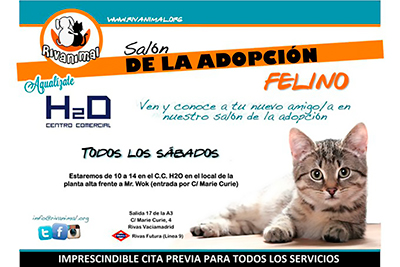 publiz_es's tweet photo. El H2O acoge las jornadas de adopción animal de Rivas https://t.co/HuXNbM8HcA Este sábado en el exterior del Centro Comercial #H2O #RivasVaciamadrid #AdopciónAnimal #perros #gatos #mascotas #Rivanimal #CIPAR #AdoptaNoCompres https://t.co/rfBoEGCwIE