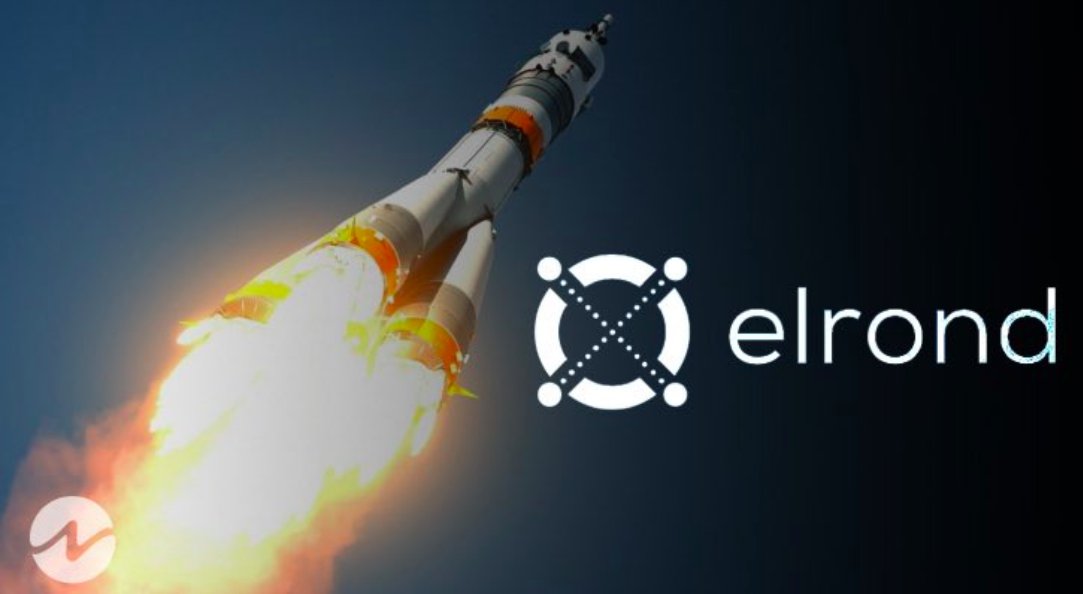 MiguelM01202139's tweet photo. Today is the big day! Stay calm and make a good strategy!!! We are all sailing towards a better world!
#EGLD does not help in this new decentralized economy!!!! Support yourself in this huge community!!! a row of big hearts!!! @ElrondNetwork @ElrondRU @ElrondFrance @ElrondItalia https://t.co/n3c2nk3pEC