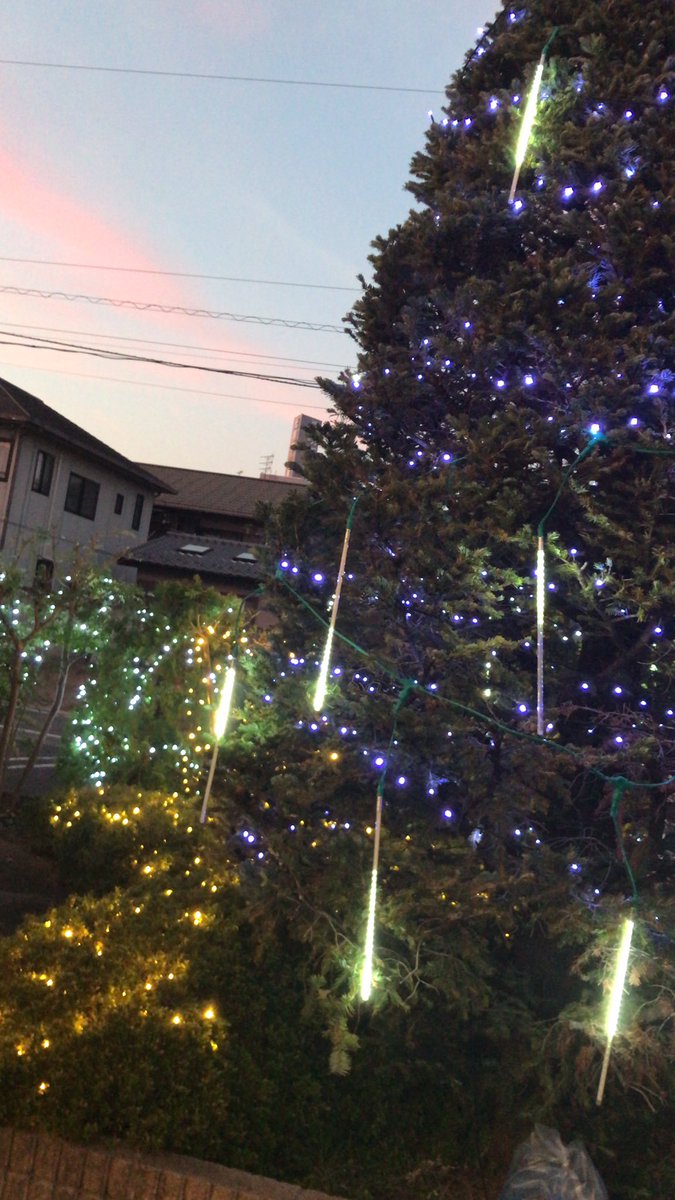 akipudding's tweet image. みゆ姉さんも装飾を頑張ってくれました！ありがとうございます！
こんなに綺麗になりました〜💓　＃イルミネーション　#高崎　#群馬　#輪のあたりまえ　#輪のスタッフ　#ブライダル　#ジュエリー