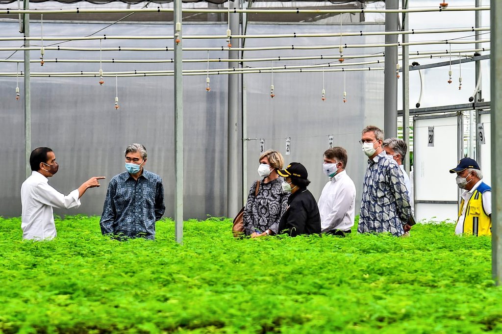 Sobat Hijau, Presiden <a href="/jokowi/">Joko Widodo</a> ajak Dubes meninjau langsung #PersemaianModern Rumpin di Kecamatan Rumpin, Kabupaten Bogor, Jumat (19/11/2021). 

Kunjungan ini menunjukkan keseriusan pemerintah Indonesia dalam menangani dampak #perubahaniklim.