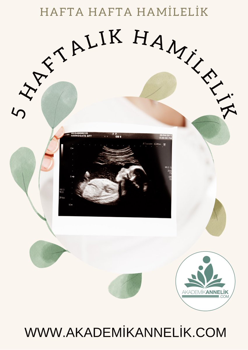 HAFTA HAFTA HAMİLELİK- 5 HAFTALIK HAMİLELİKTE NELER OLUYOR?

Hemen okuyun: akademikannelik.com/Hafta-Hafta-Ha…

#5weeks #pregnancy #pregnant #hamilelik #haftahaftahamilelik #FridayFeeling #FridayVibes #FridayMotivation