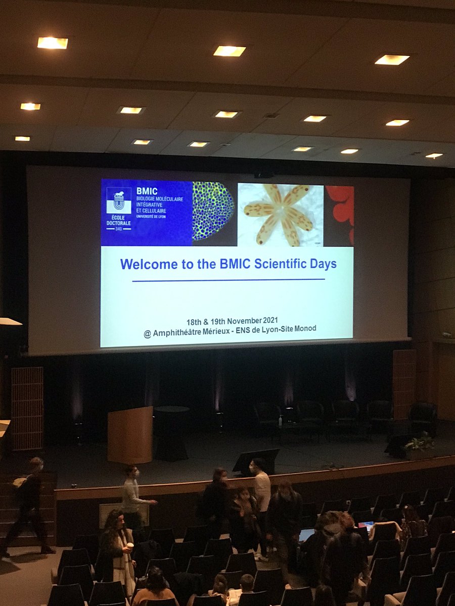 BMIC days - After a great first day, the second and last one of the BMIC Days 2021 is on the starting-block !
Dernier jour de la journée des doctorants de BMIC. Great talks and discussion to come.