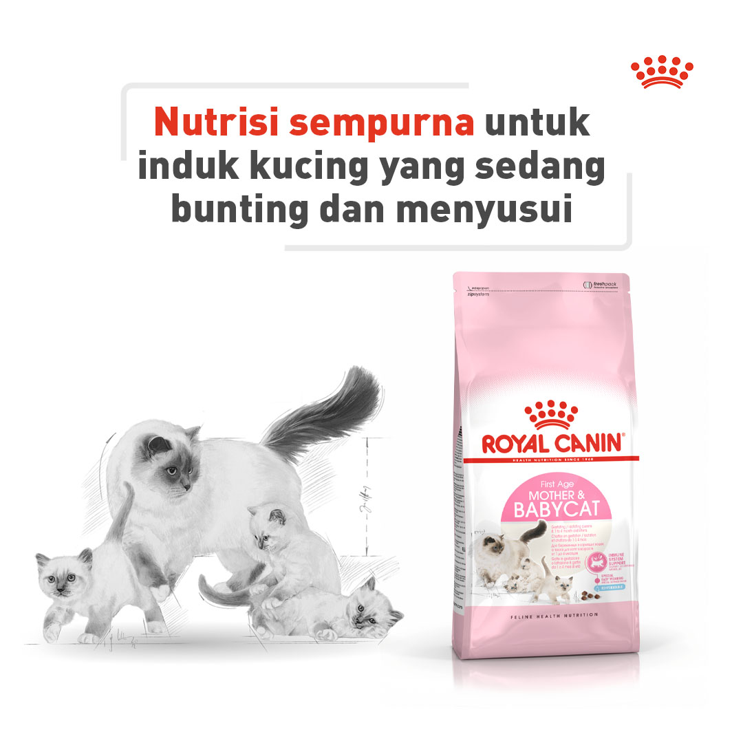 Ad libitum adalah memberikan makan dalam porsi yang tak terbatas, atau bisa mengikuti keinginan induk kucing, Pet Mates.

Kamu juga bisa memberikan Royal Canin Mother & Babycat untuk mendukung induk kucing di masa bunting dan menyusui!

#PetsNutrition #CatPedia