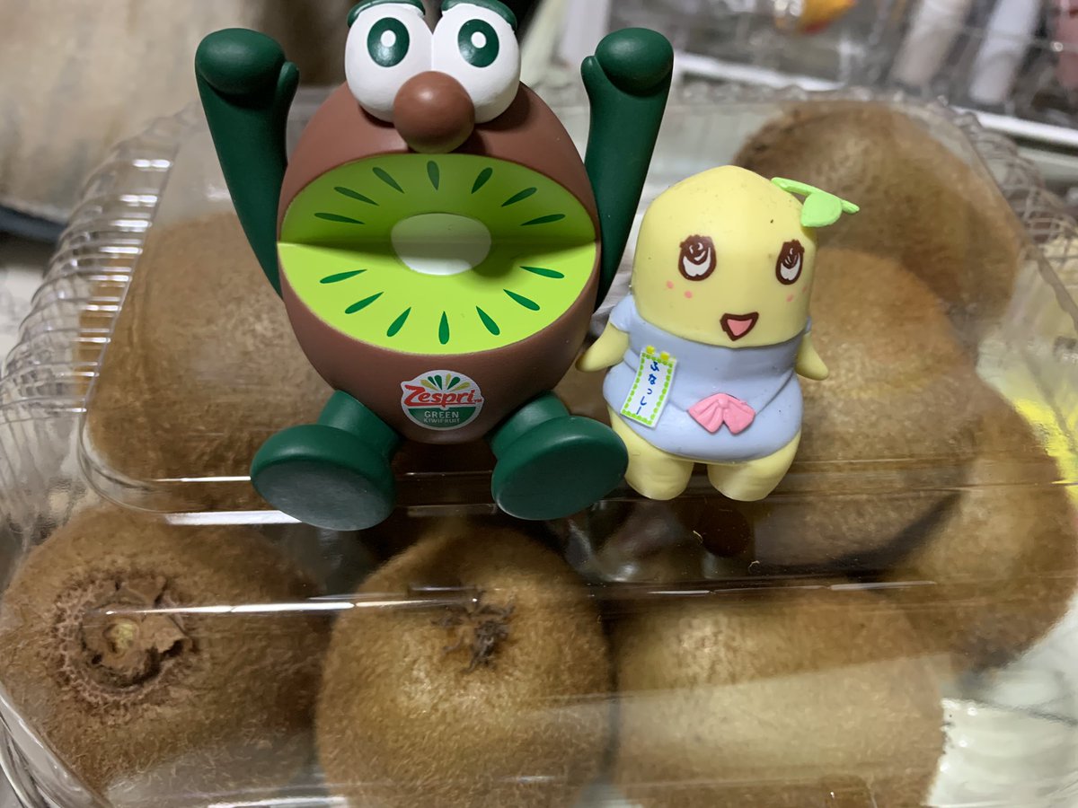 aaaayassyi's tweet photo. ゼスプリ🥝キウイブラザーズ🥝
やっと見つけた(。゜ω゜)
キウイ🥝11個も買うことになるとは… https://t.co/nG4HTkiZrC