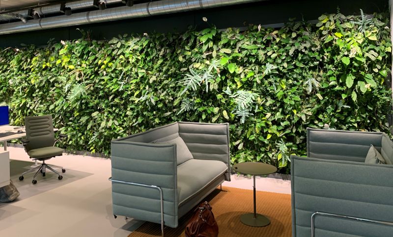 An important element of a healthy and productive working environment is acoustics 🔉 An engineering firm put our SemperGreenwall Indoor to the test and found that it absorbs on average 85% of the ambient noise in a space! sempergreenwall.com/news/acoustic-… Picture: Pleijsier Bouw