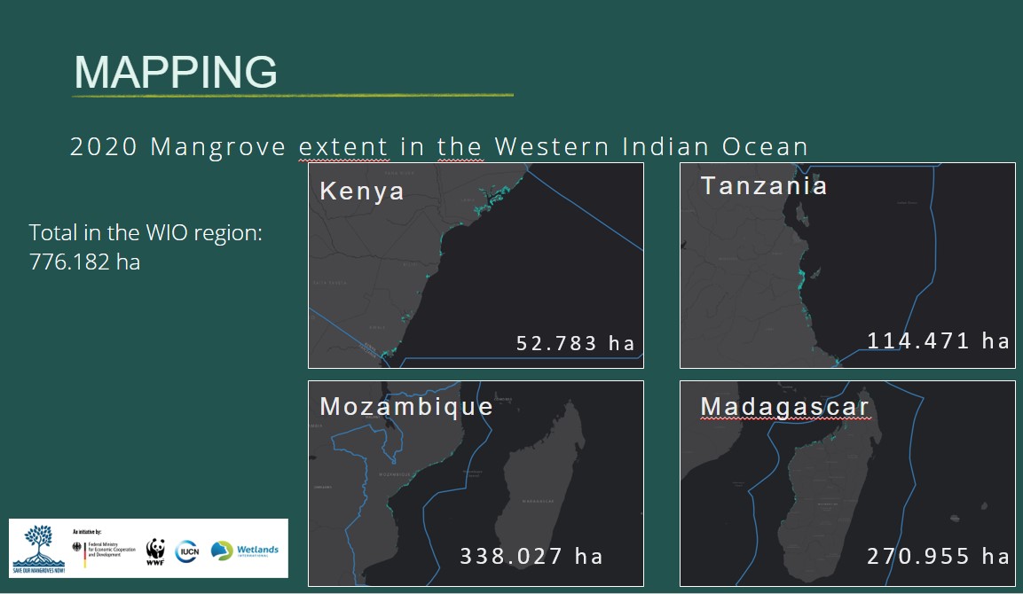 WetlandsInt's tweet photo. At the #CruscendoAzul #GrowingBlueConference we highlighted mangrove loss in #Mozambique, #Kenya, #Madagascar & #Kenya
https://t.co/iwNlkUKKbd
Healthy mangroves provide huge social, economic & environmental benefits.
Reach out to us to find out how to protect and restore them https://t.co/PQoCpqozDR