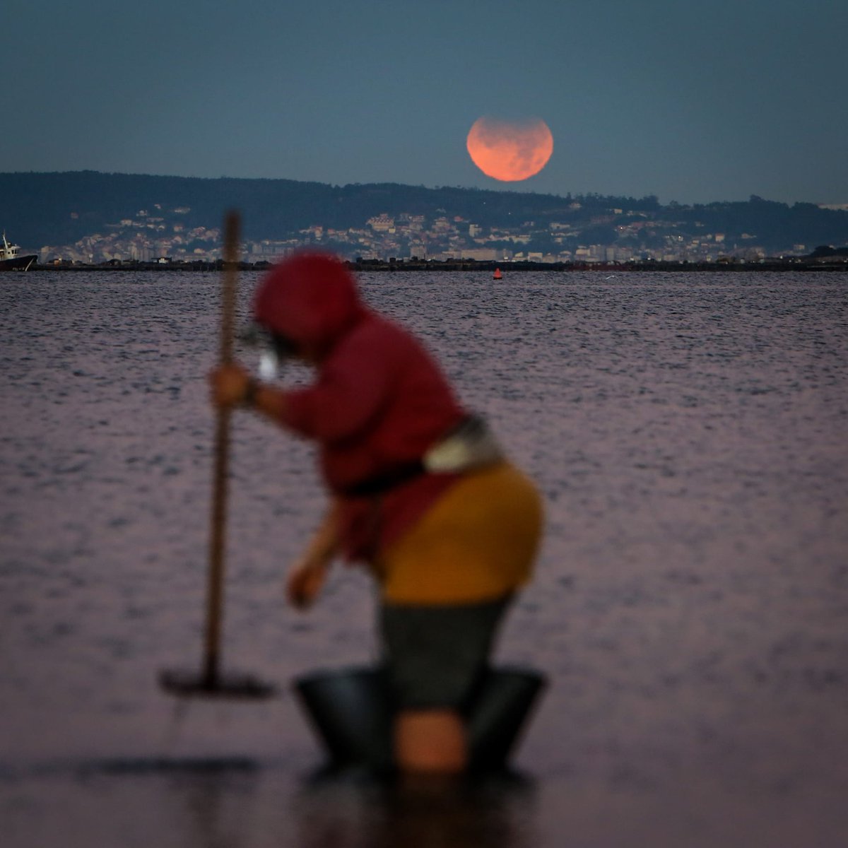 vozarousa's tweet photo. 🌚🌚Buenos días. Arrancamos la jornada con esta espectacular fotografía de @MartinaMiser del eclipse lunar y las mariscadoras de Cambados https://t.co/UX2S095rxX