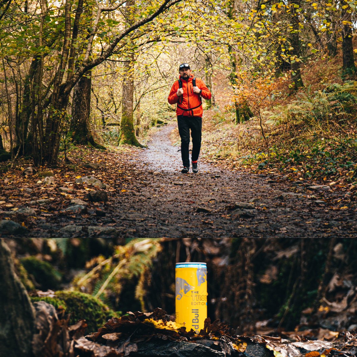 godiobel's tweet photo. Tropical Red Bull fitting nicely in the autumn tones #yellowcan . #redbull #energydrink @redbull @RedBullUK @redbullmotors
.
#photo #photography #photooftheday #photographer #LakeDistrict https://t.co/kOsn3ll5wx