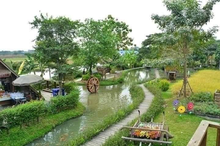 petanirumah's tweet photo. Salah satu impian sy di masa tua.
Punya tanah di desa bangun rumah kecil di kelilingi kolam ikan. 
Ada sayuran dan tanaman buah.

Alhamdulillah saat ini udah mulai beli tanah.
Meski baru 2 karung https://t.co/QFXq9VMygG