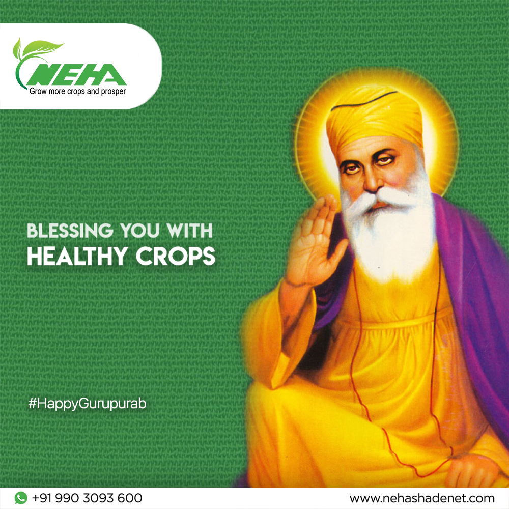 NehaShadenet's tweet photo. Use #NehaShadeNet with the blessings of #GuruNanak to yield #HealthyCrops!
We wish you a Happy Guru Nanak Jayanti!
.
.
.
.
.
.
.
.
#HappyGuruNanakJayanti #HappyGuruNanakJayanti2021 #Gurupurab #agrotech  #agrotechnology #agriculturemachinery #greenshadenet #buyshadenet #Shadenet https://t.co/qS5euLDrTy