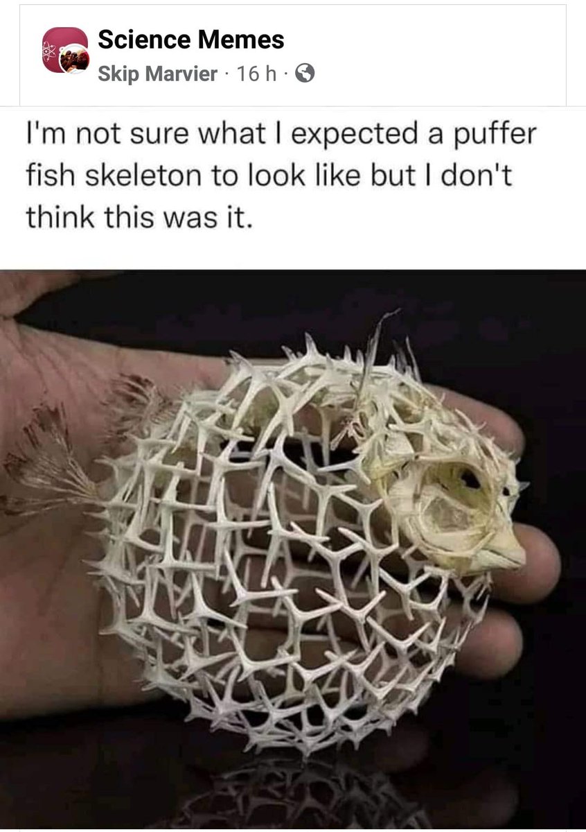 gayralt of trivia ⚔ wine mom era 🍷 (@geraitoftrivia) on Twitter photo 