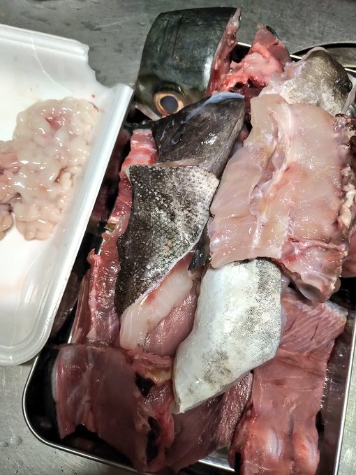 今日はブリとタラのアラで鍋にしますん 