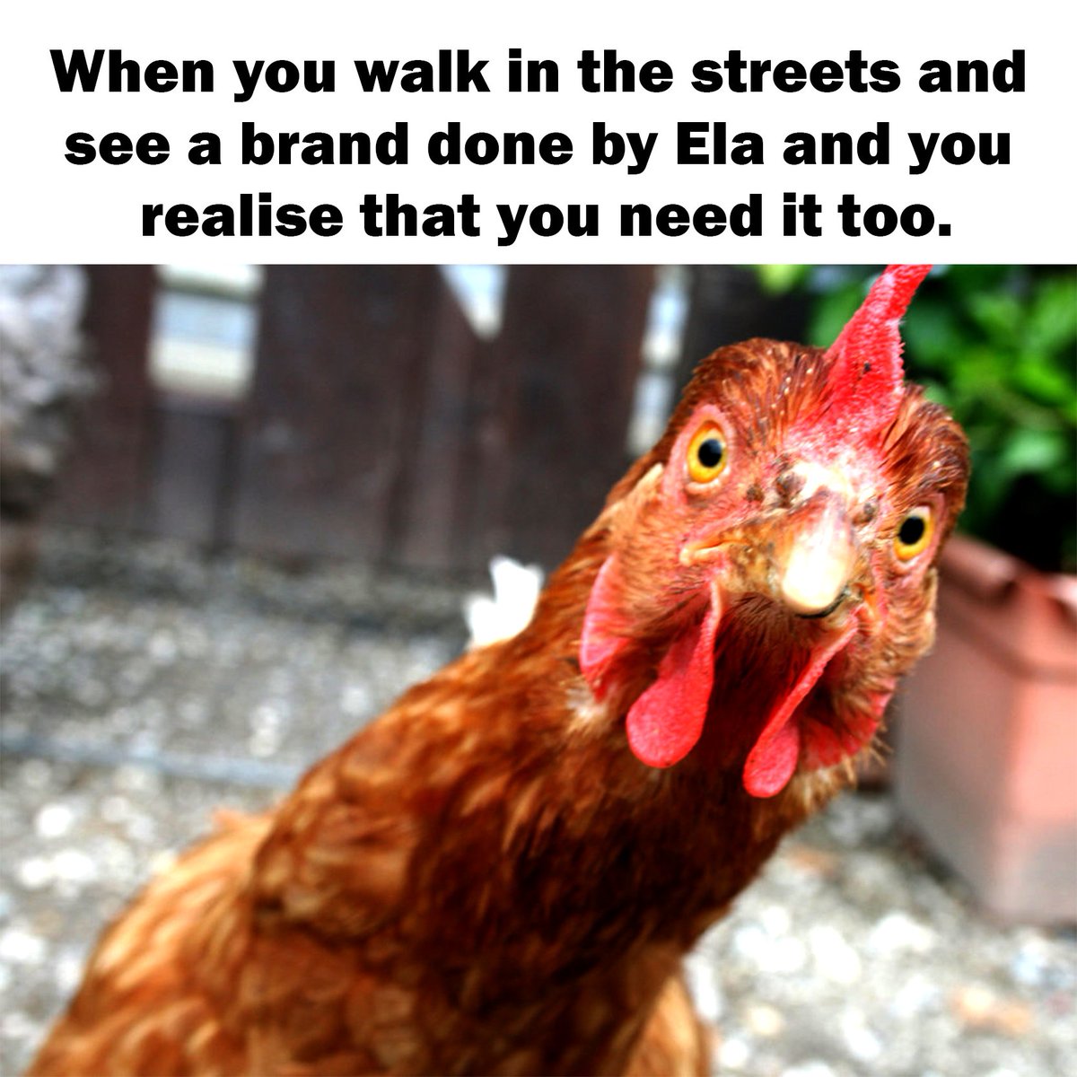 ElaCreatives's tweet photo. You might have heard about us from your friend or maybe on social media, well, stop hearing and experience the best of services we have to offer. 
#memefriday #elacreatives#branddesign#artwork https://t.co/epHQ9RqRfn