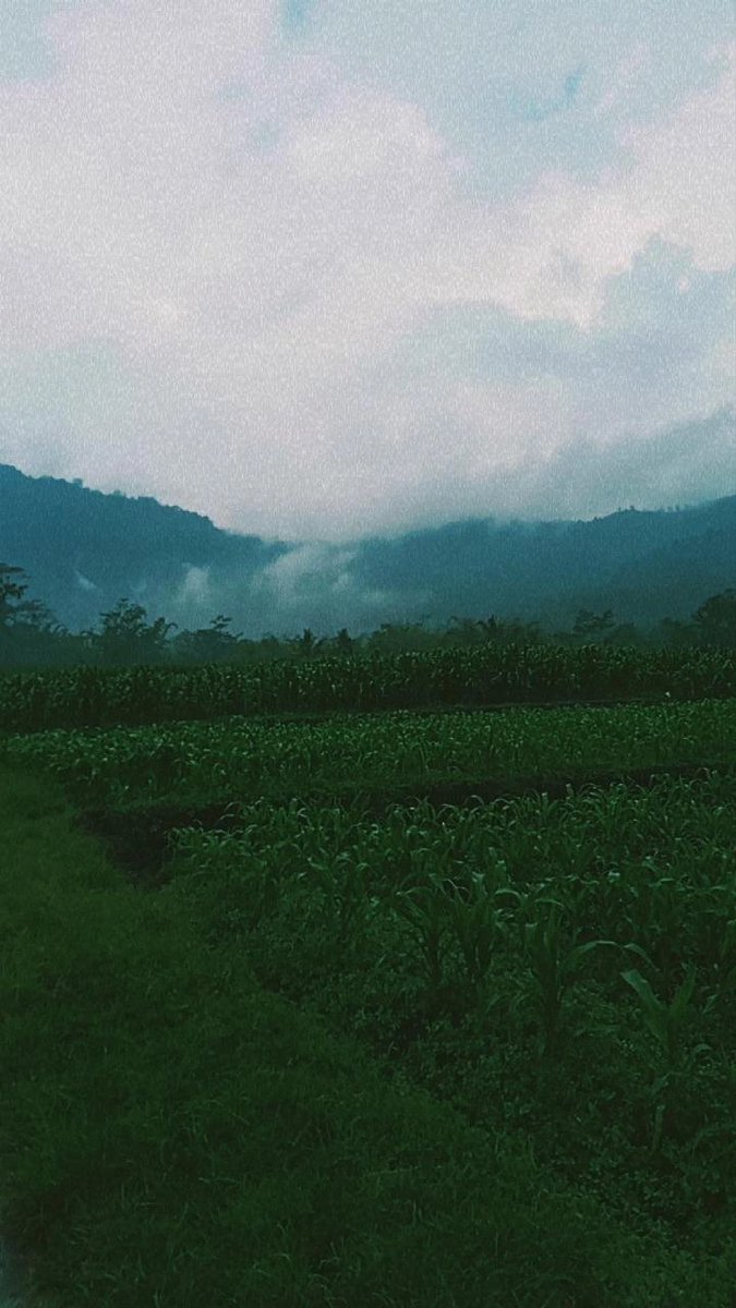 txtxthc's tweet photo. @bertanyarl Habis hujan https://t.co/5nVoJEDFty