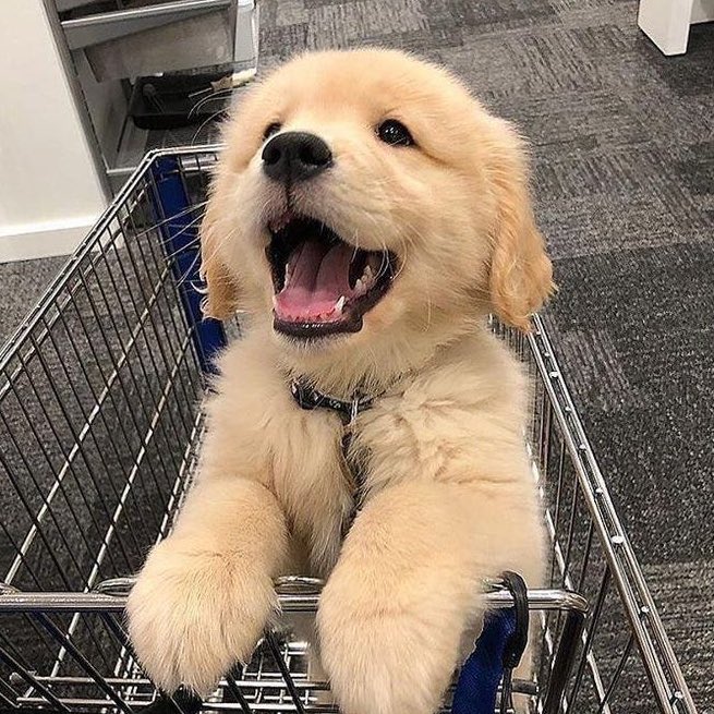 ryvjun's tweet image. 