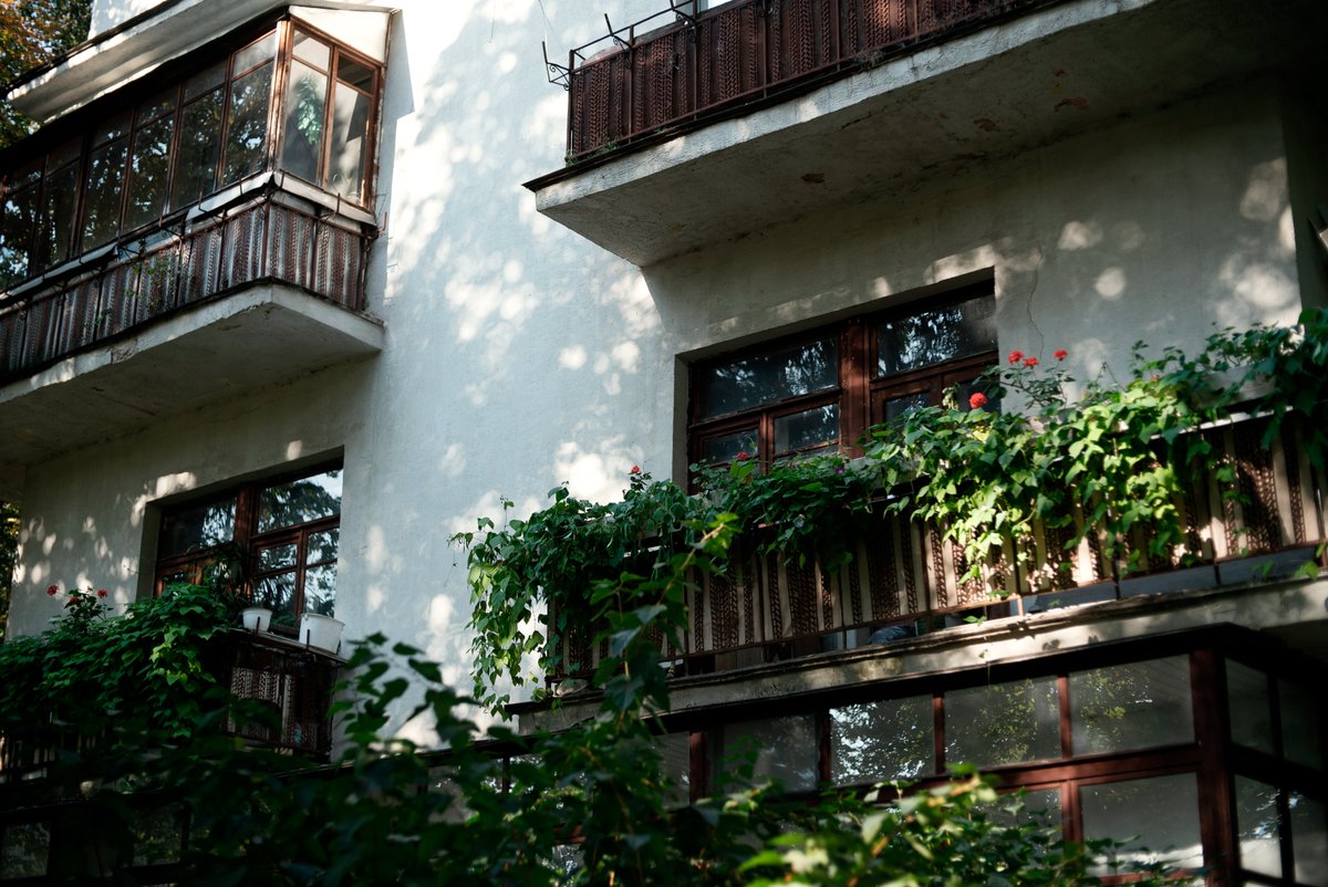 hleblat's tweet photo. Outdoor &amp; Indoor.
#architecture #summer #design #cute #minimalism #exterior #interior #house #home #green #modern #kitchen #soft #naturallighting #photography #streetphotography #warm #sweden #green #plants #nft #facades #beauty #white #colors https://t.co/oFD3rtAPe8