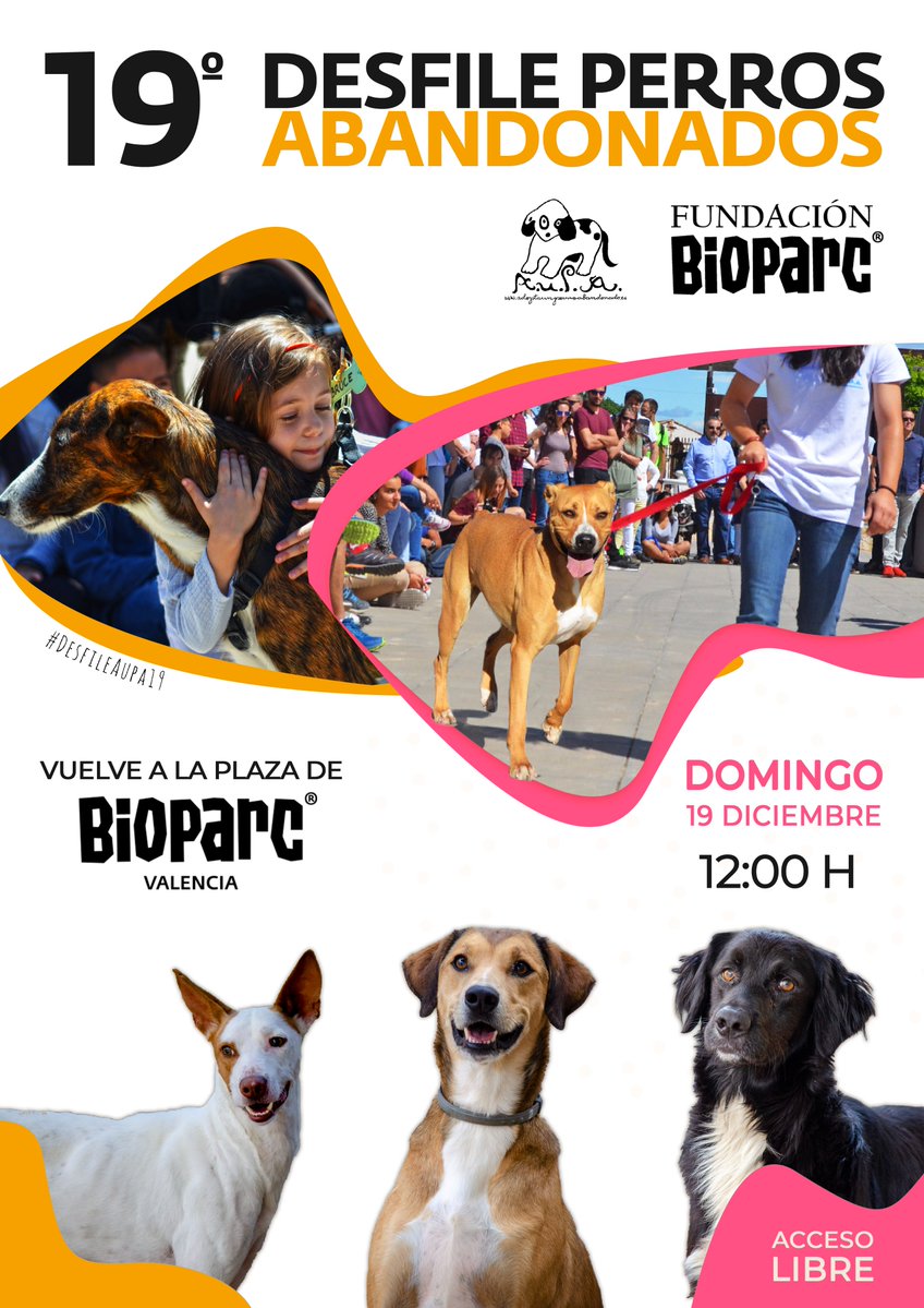 YouVLC's tweet image. ADOPTA A TU MEJOR AMIGO

La Fundación @Bioparc  y @aupa_  vuelven a convocar el desfile de perros abandonados. Los peludos buscan un hogar para toda la vida ¿Será el tuyo?youvalencia.com/index.html/202…