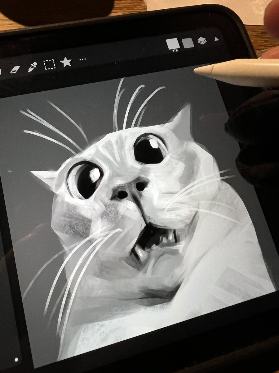 Ok getting out of my funk by drawing a cat, as always #rindumelukis