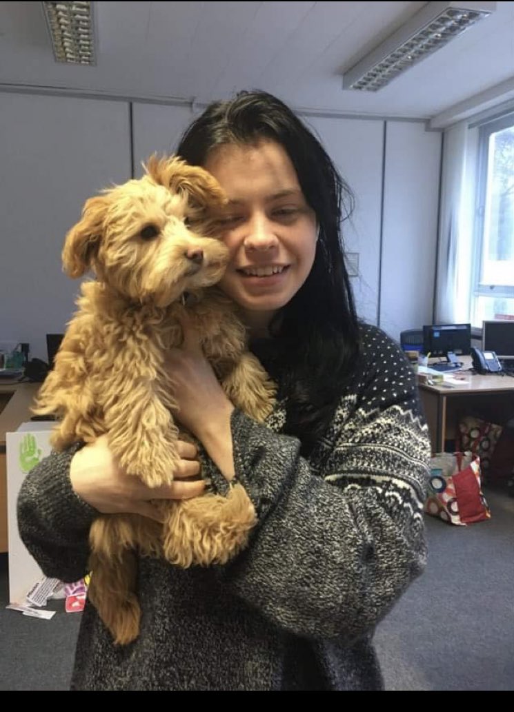 HKEdCentre's tweet photo. Another furday Friday in full force! Teddy and Willow bring smiles all round. Learner Chloe stated, ‘I look forward to this so much, it’s a great way to end the week. It really helps people feel happy and relaxed.’ @Humankind_UK https://t.co/QvcOHfsfkK