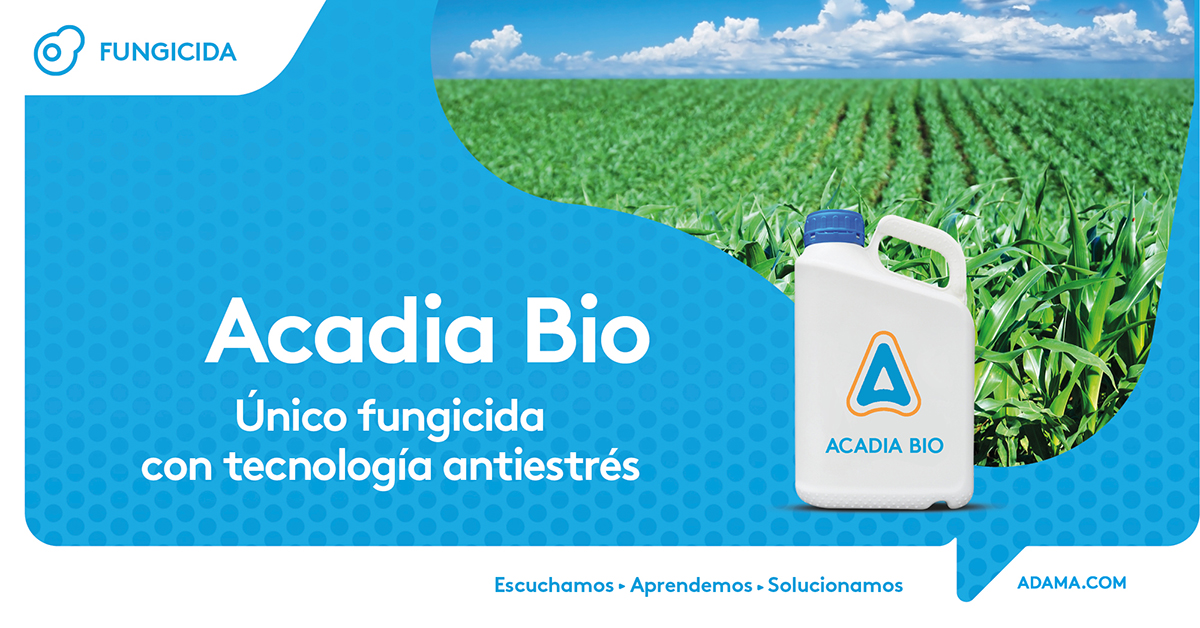 AdamaArgentina's tweet image. La novedosa tecnología Active Bio desarrollada por Adama, suma al mejor control de enfermedades, el efecto antiestrés que permite a tu #maíz acercarse al máximo potencial de rendimiento.
Conocé más sobre #AcadiaBio🌽  bit.ly/3HuTdZ4