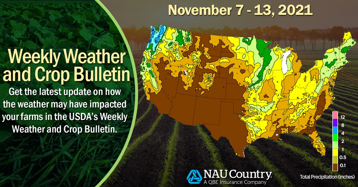 naucountry's tweet photo. How has the weather impacted your farms this past week? Check out the USDA’s Weekly Weather and Crop Bulletin. Learn more at https://t.co/EH2GNUBKt8.
#NAUCountry #USDA #Weather #CropWeather #Farmers #Ranchers #Agriculture #QBENA https://t.co/iSiwAjbeMz
