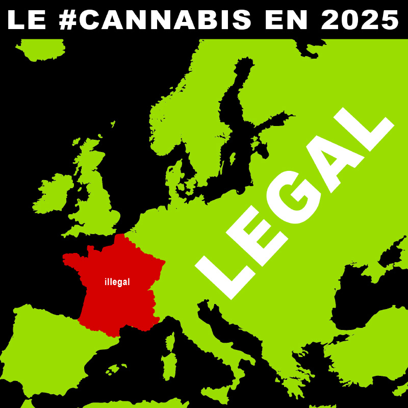 nobock_fr's tweet image. Mes prévisions :