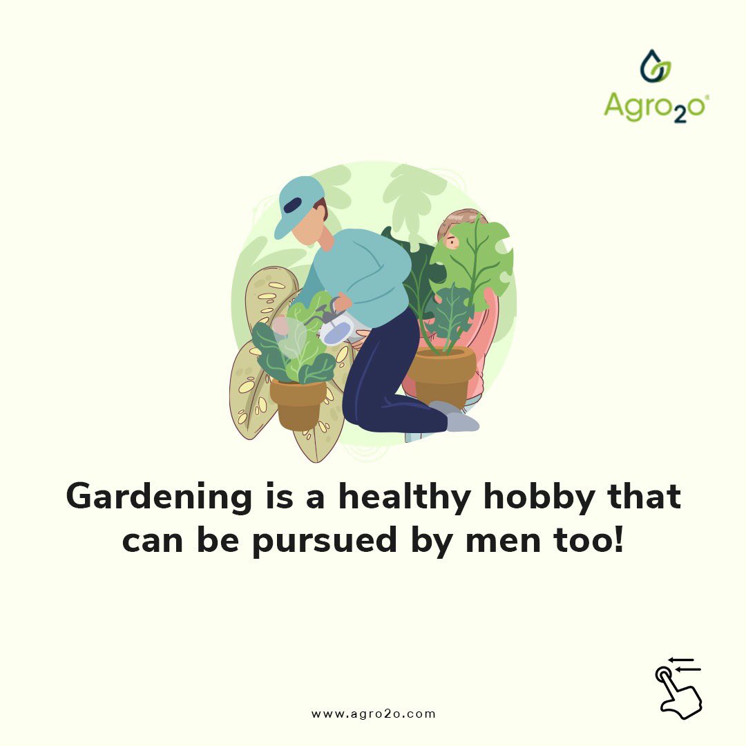 Agro2o_'s tweet photo. Nowadays, gardening is equally enjoyed by men.
On #internationalmensday we celebrate the men gardeners who took tending the plants as a full time hobby 🧑‍🌾
.
#agro2o #mensday #plantdad #MensDay #mensmentalhealth https://t.co/Vg7h1UfWss