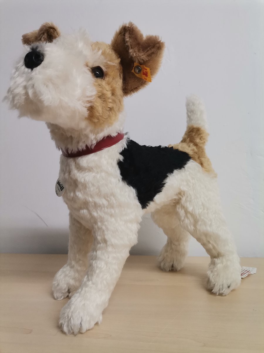 Come in store today and have a look at our brand new Steiff stock, perfect for collectors and people who just want a little friend.
#Steiff #Plush #teddybear