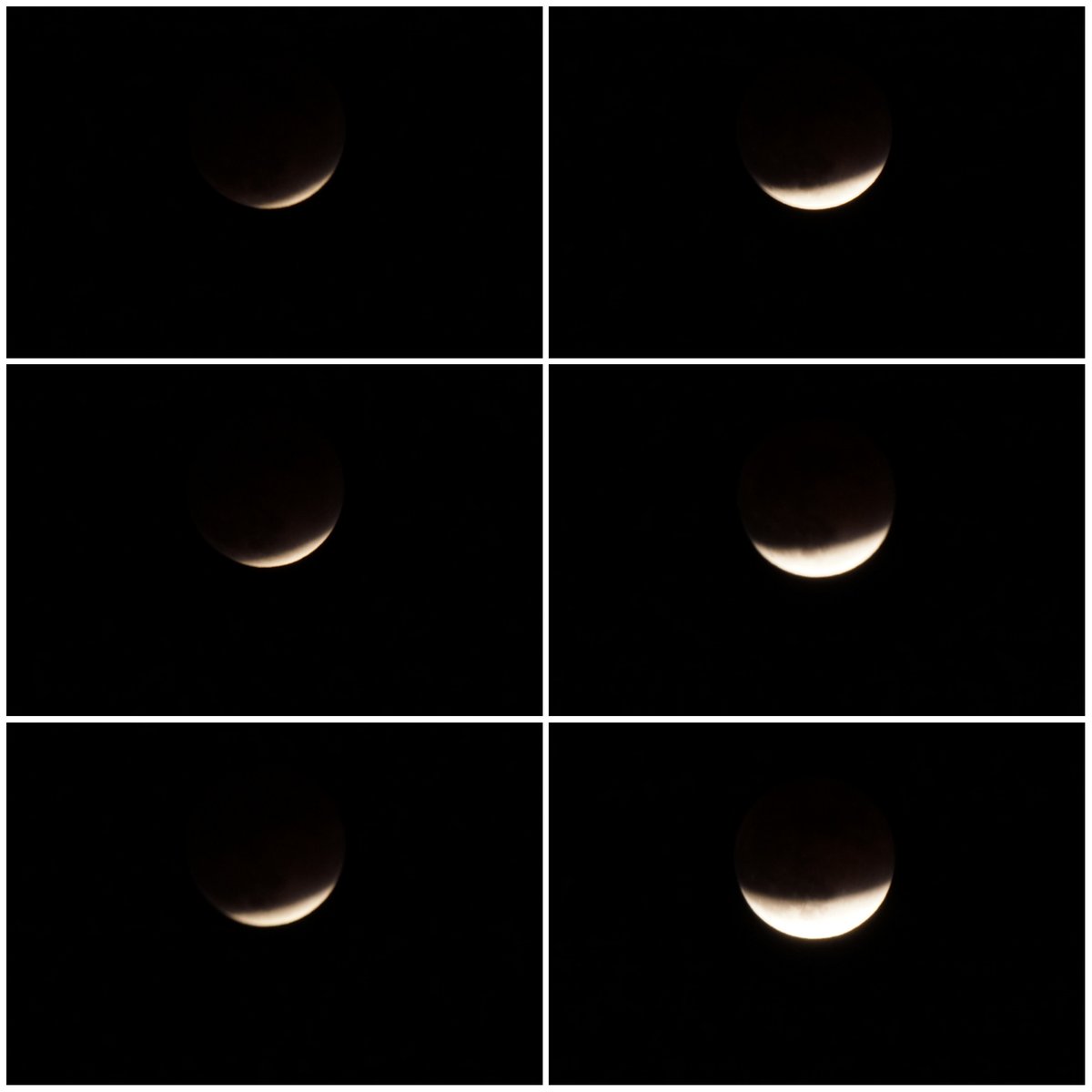 yt_innocent's tweet photo. .
月食 🌙 eclipse of the moon from Kyoto
.
#月食 #eclipse #eclipseofthemoon #lunareclipse #部分月食 #partiallunareclipse #京都 #Kyoto https://t.co/MNHtwVlEBz