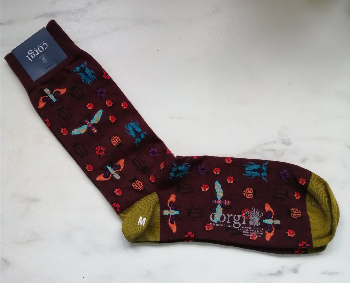 entomaggie's tweet photo. My boy recently started an apprenticeship @Corgi_Socks and I'm super proud of him. Pride went off the scale today when he bought me home some amazing insect socks! Take note all my entomology friends! https://t.co/NWXJnbp6zB