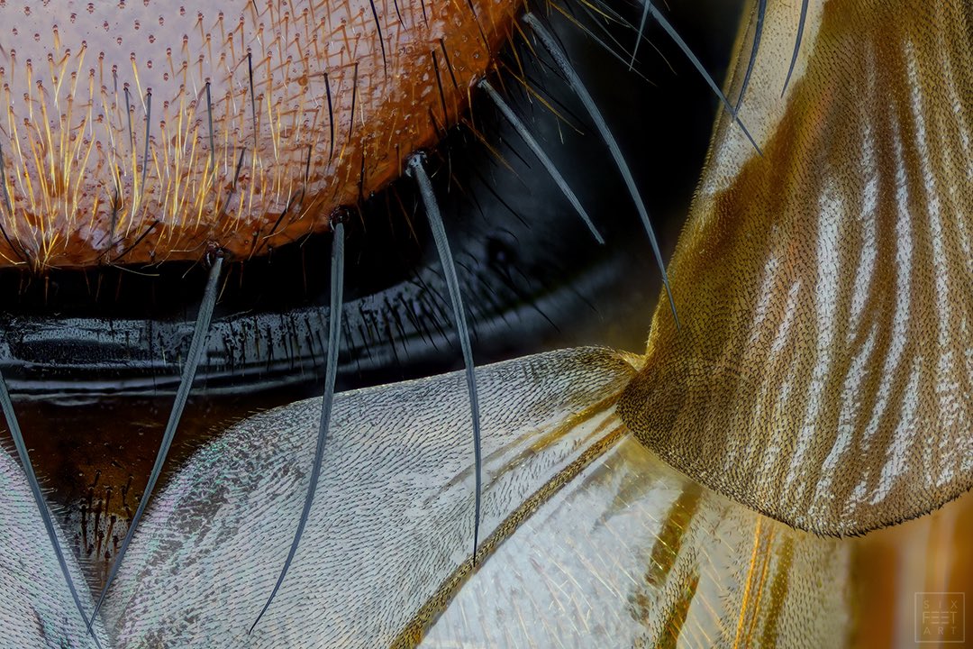 Thorben Danke tweet media