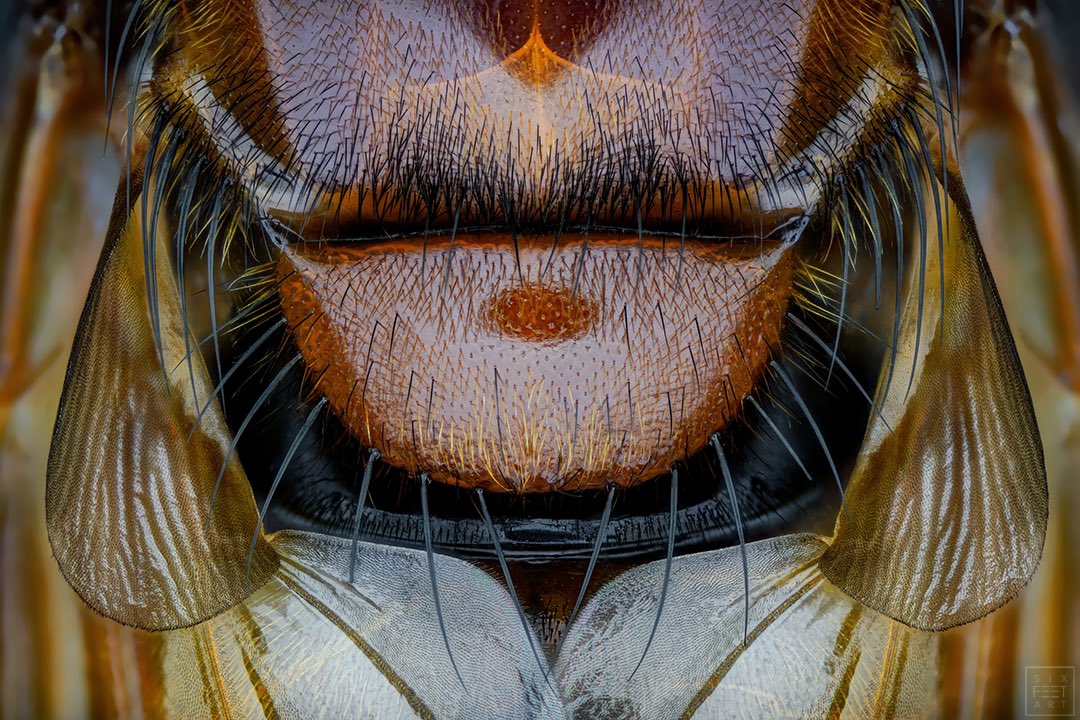 Thorben Danke tweet media