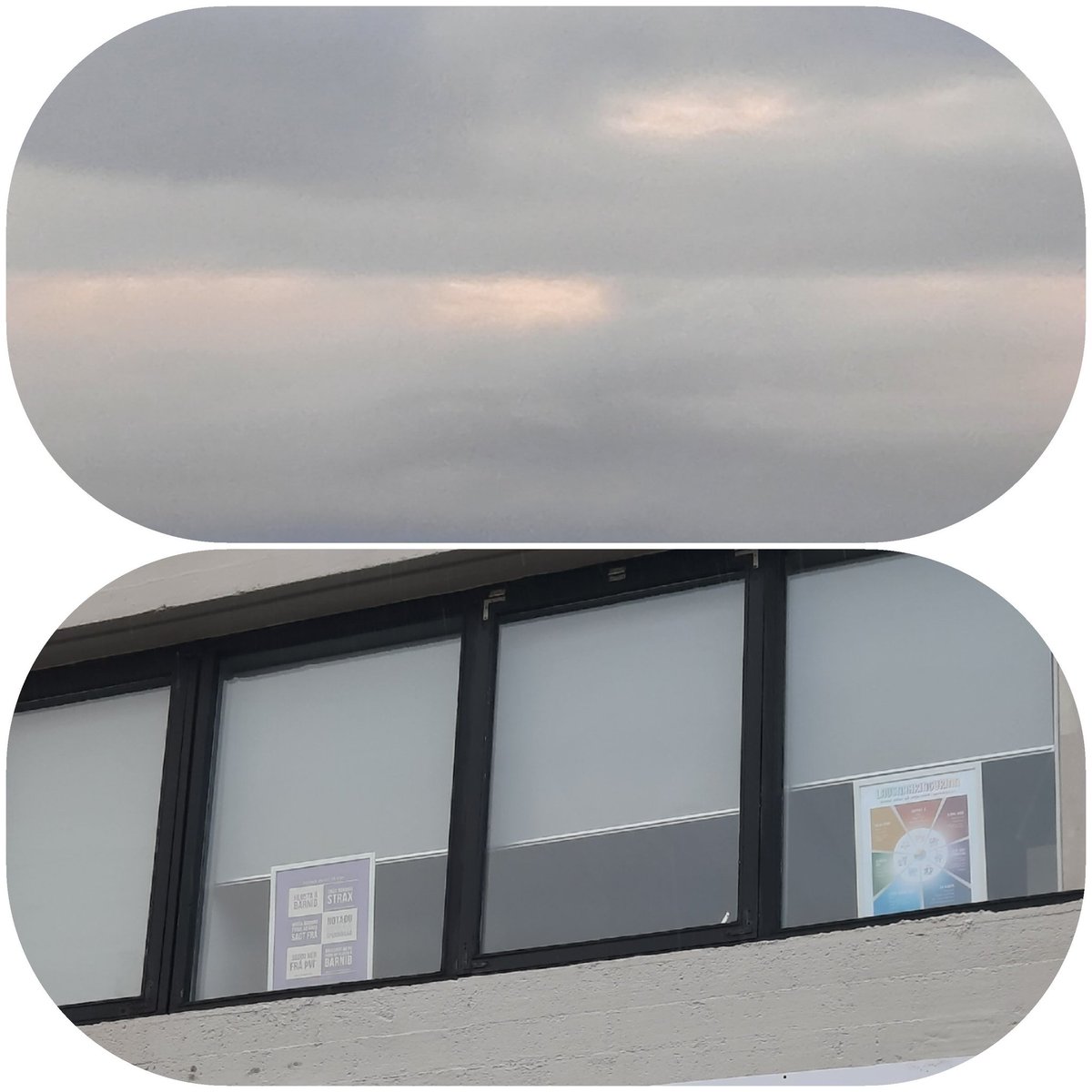 #12dagatwitter 
Núna um helgar nýt ég þess að sitja á skrifstofunni minni, skrifa námsefni, greinar og endurmeta starfið mitt. Borða góðan mat, gönguferðir og samtal við fjölskyldu og vini 🥰🌈
Góða helgi