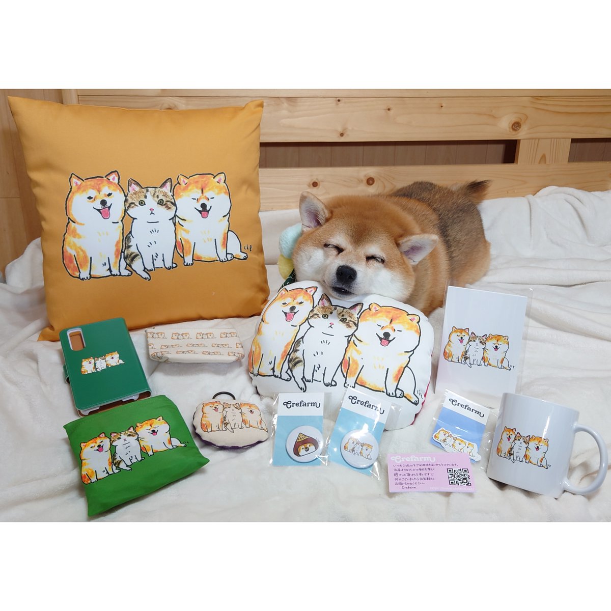 mon_naichan's tweet photo. ããããããŠæ¶ãæ¢ãŸããªãð¶ð±ð¶âš#æŽç¬ã#shibainu #æŽç¬ã¡ããã @ChemonH #crefarm #ã¢ãŠããã¢ããã°ãã§ã¹ã¿inå
«ã¶å²³ https://t.co/cW4IiDpzAV