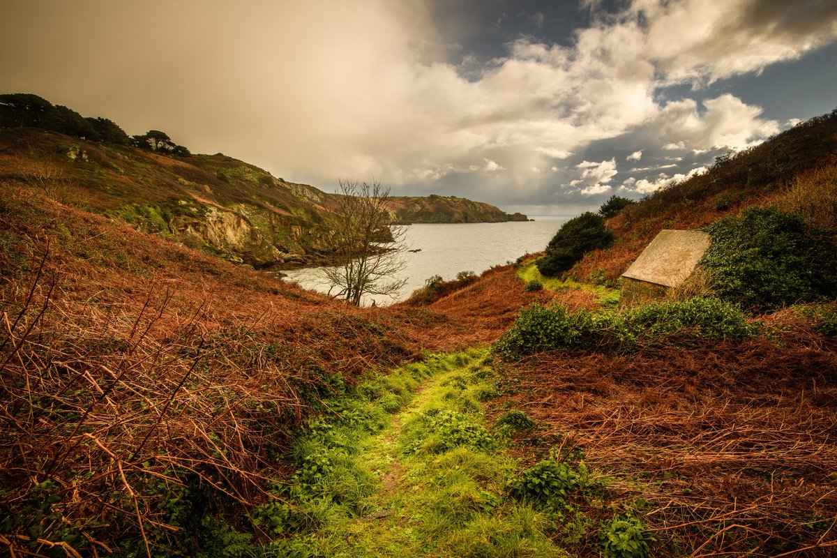 🧣🧤 Il fait peut-être plus froid, mais ces vues valent la peine de prendre l'air. Préparez-vous à explorer les îles de Guernesey à pied.
8 grands itinéraires de marche à essayer sur les îles de Guernesey 👉 visitguernsey.com/.../8-great-wa…
#ThatIslandFeeling #LiveUnpaused