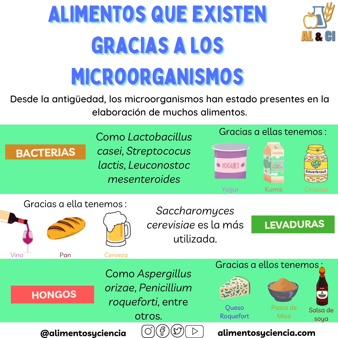 AlimentosyCien's tweet photo. Gracias a los microorganismos tenemos algunos alimentos... 

#microorganismo #alimentosyciencia #alimentos https://t.co/dO4HIPcc5O