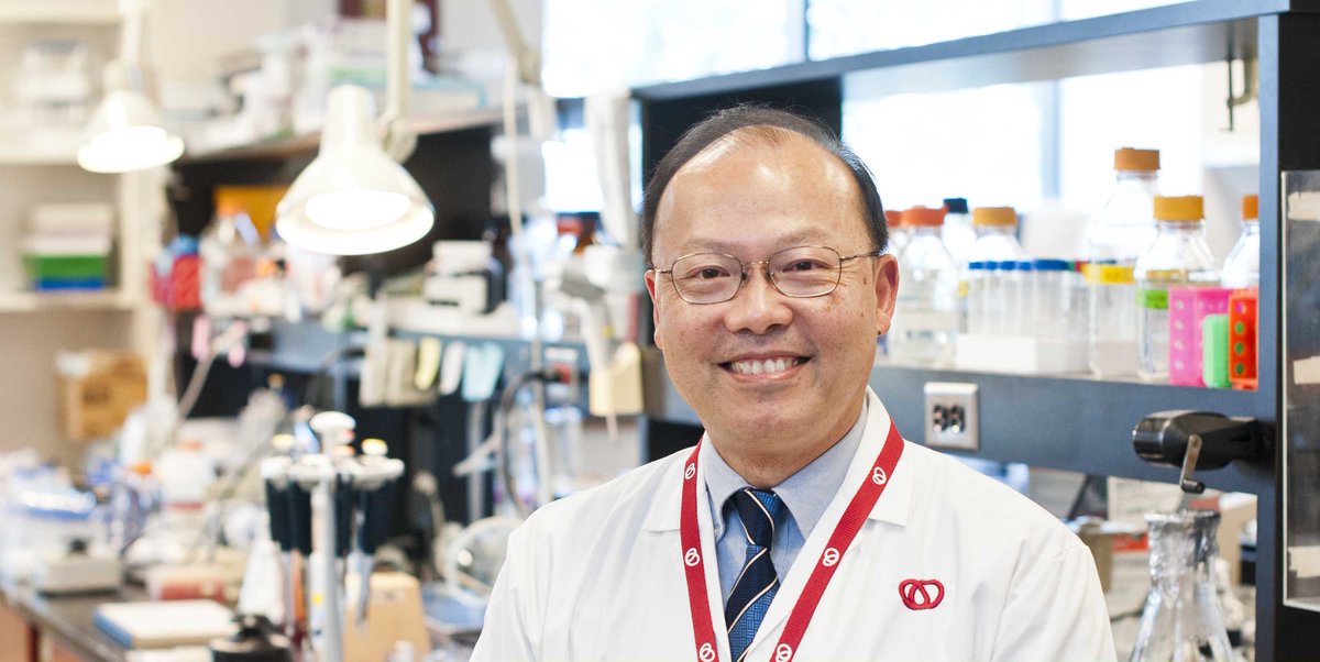 uOttawaResearch's tweet photo. In today’s @globeandmail: Check out @uOttawa research on the link between heart and brain diseases and read about our massive new investments in health research in a special feature celebrating @InnovationCA 25th anniversary. ➡️https://t.co/vk7MiasVrh https://t.co/HgQzu997iN
