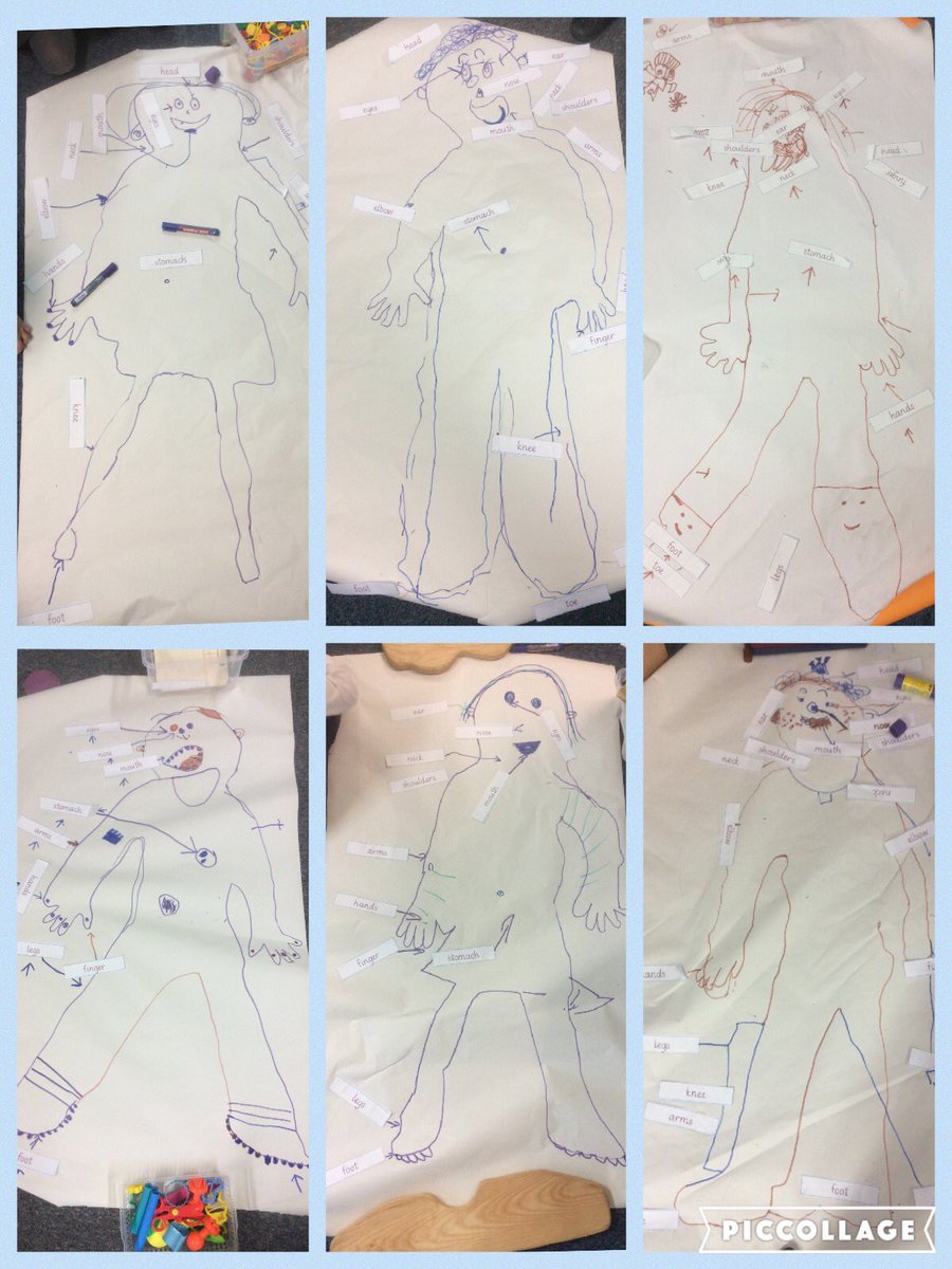 TyntesfieldHR's tweet photo. Learning about our body in science last week... we drew around each other and labelled our body parts! https://t.co/6vBj5qcm4c