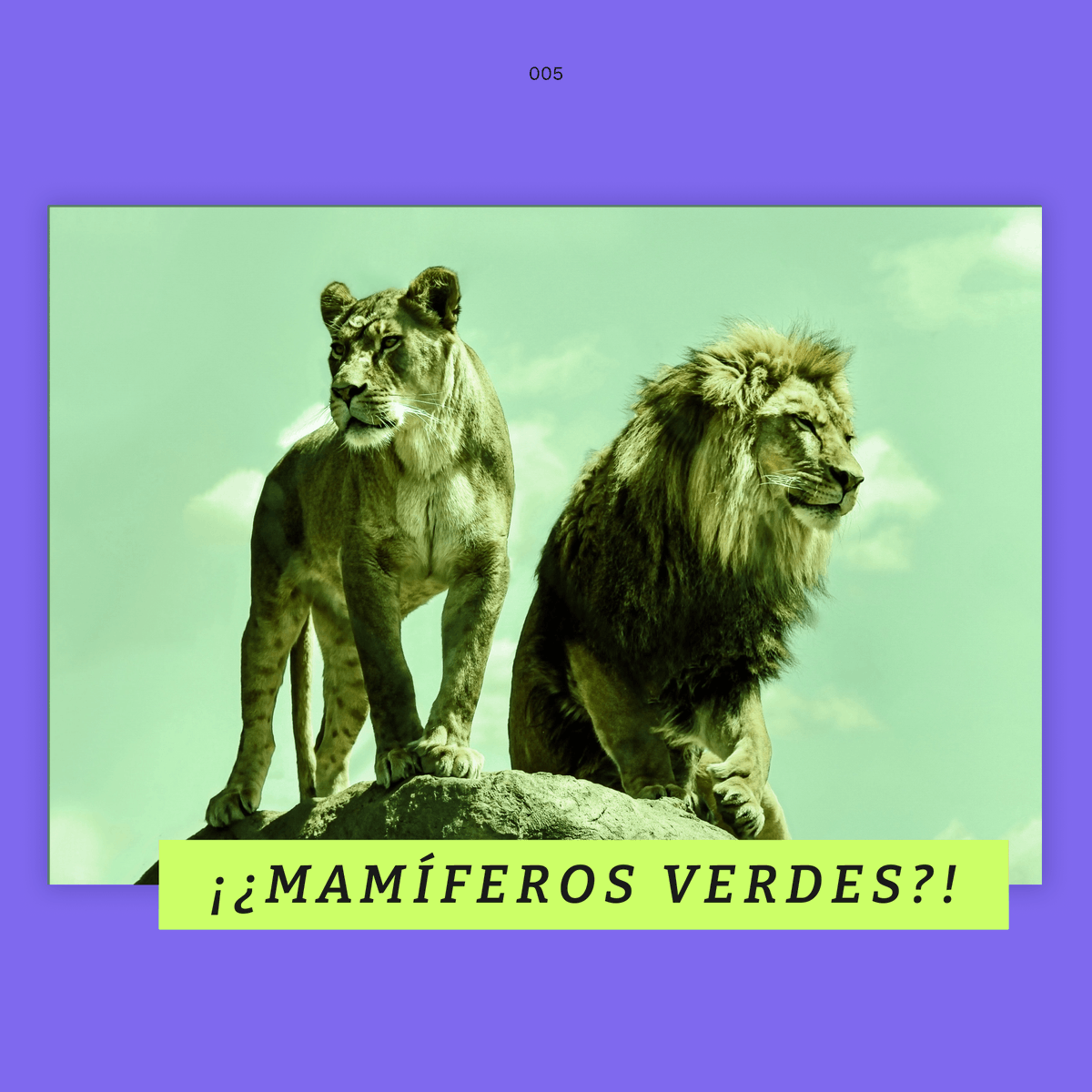 SomosNivelat's tweet photo. Viernes de Dato Freak 🤯

¿Has visto un mamífero verde?

En Nivelat usamos datos memorables para generar mejores aprendizajes. ¡Comparte estos datos o cuéntalos en tu próxima reunión de trabajo! https://t.co/Ch9wQXvgVE