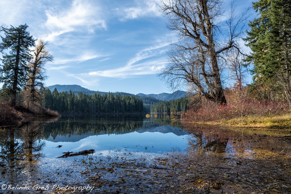 "Nature never did betray the heart that loved her." William Wordsworth The quiet beauty of Fish Lake in Oregon 
society6.com/product/leaves…
#photography
