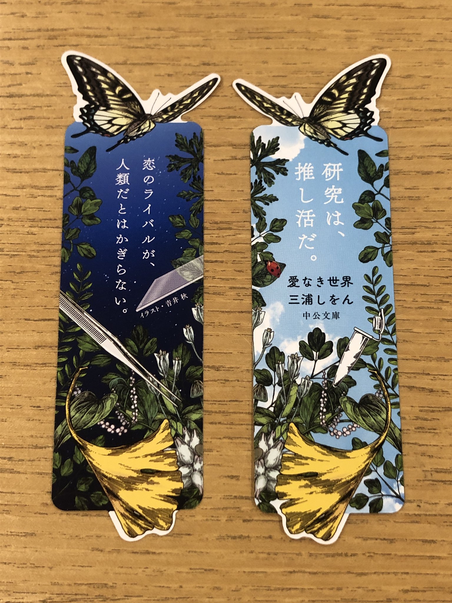 青井秋 Aoiaki Info Twitter